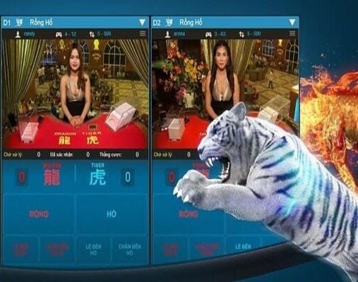 Thuật ngữ cơ bản trong tựa game rồng hổ 