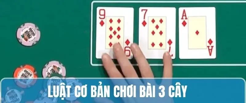 Tìm hiểu luật đánh cơ bản khi chơi bài 3 cây