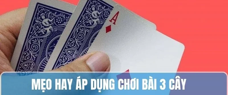 Mẹo hay áp dụng khi chơi bài 3 cây